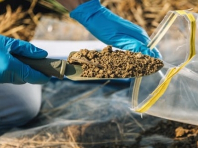 Cómo Leer una Analítica de Suelo: Guía para Agricultores